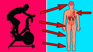 BENEFITS OF INDOOR CYCLING FOR YOUR BODY, MIND, AND MOOD THAT YOU WISH YOU'D KNOWN BEFORE BENEFITS OF INDOOR CYCLING FOR YOUR BODY, MIND, AND MOOD THAT YOU WISH YOU'D KNOWN BEFORE