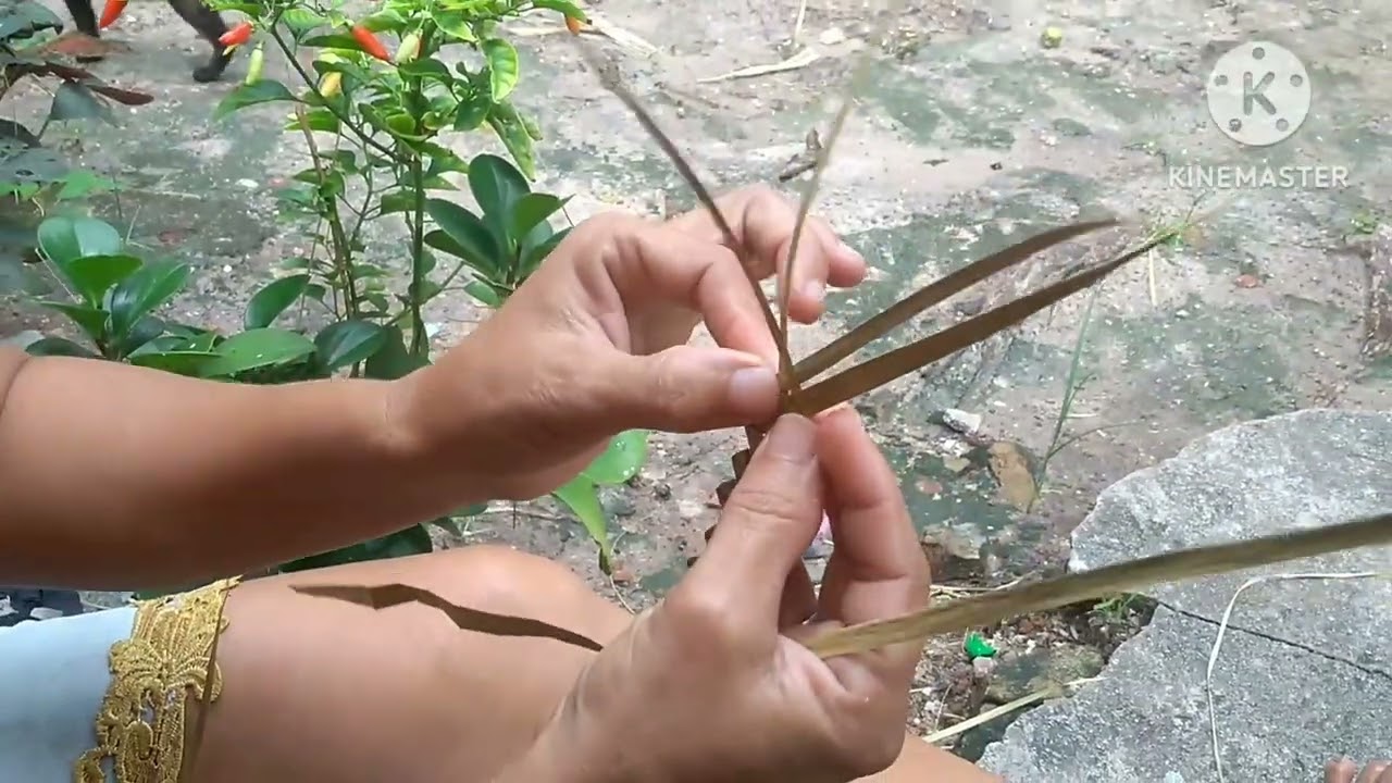 como fazer trança de bico🙂