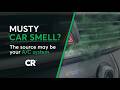 How to get rid of that musty car smell | 2 Wants to Know