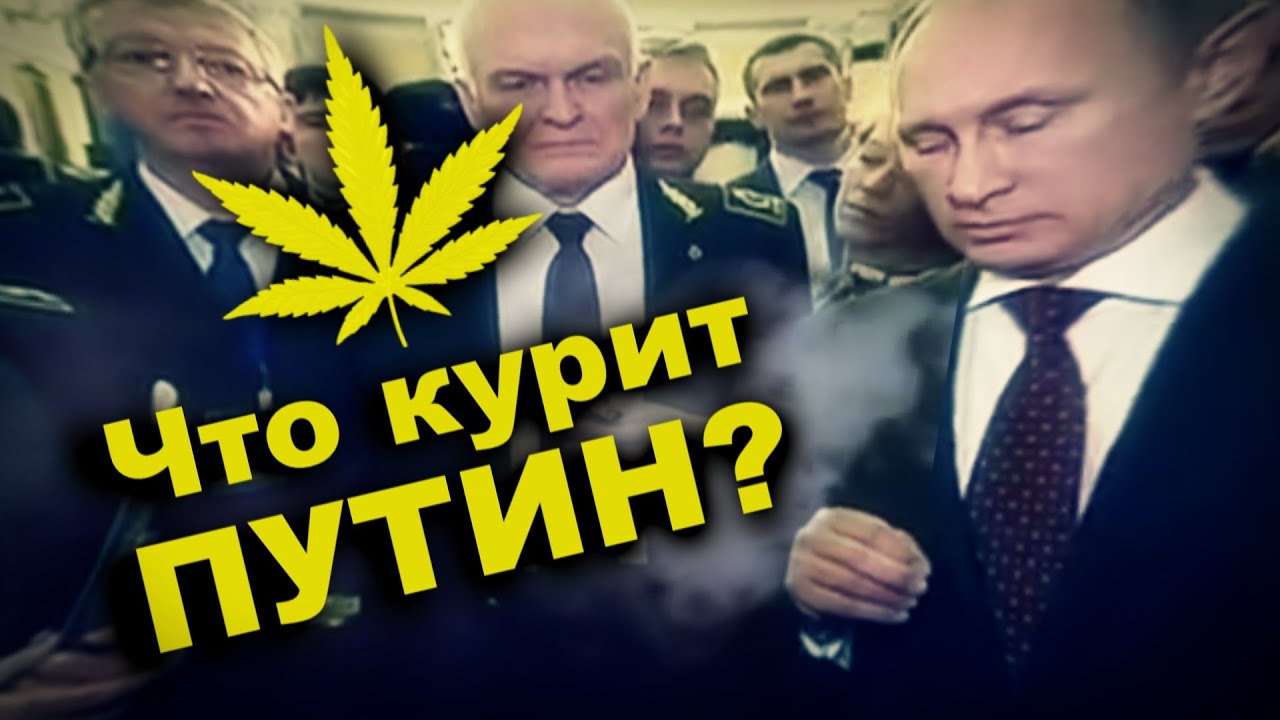 Путин в марихуане как достать марихуана