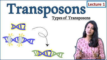 Transposable element I Types of Transposons I  I DNA Transposons I Part I  How transposon work?