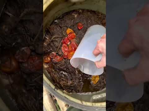 Video: Trkulsaske i kompost mod lugt - tips til brug af aktivt kul i kompost