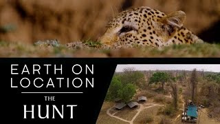 Filming A Leopard Hunt | The Hunt | #EarthOnLocation Vlog | The Travel Edit