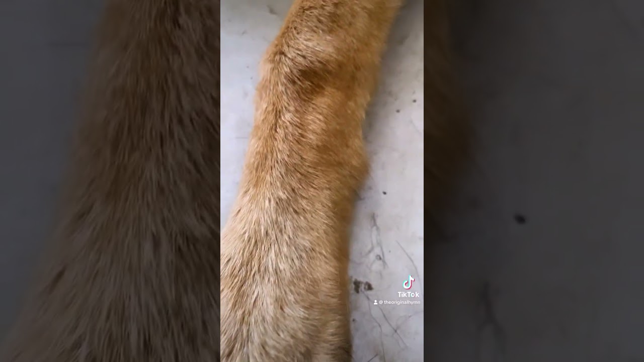 Don’t come for G dawg ☠️🤘🏻😎⁣ 