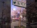 2026年3月24日　名古屋　桜通本町　#shorts