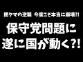 【日本保守党】あの実名晒しが最後の引き金に…?日本保守党 参院選前に崩壊?!闇クマ激怖ポスト‼