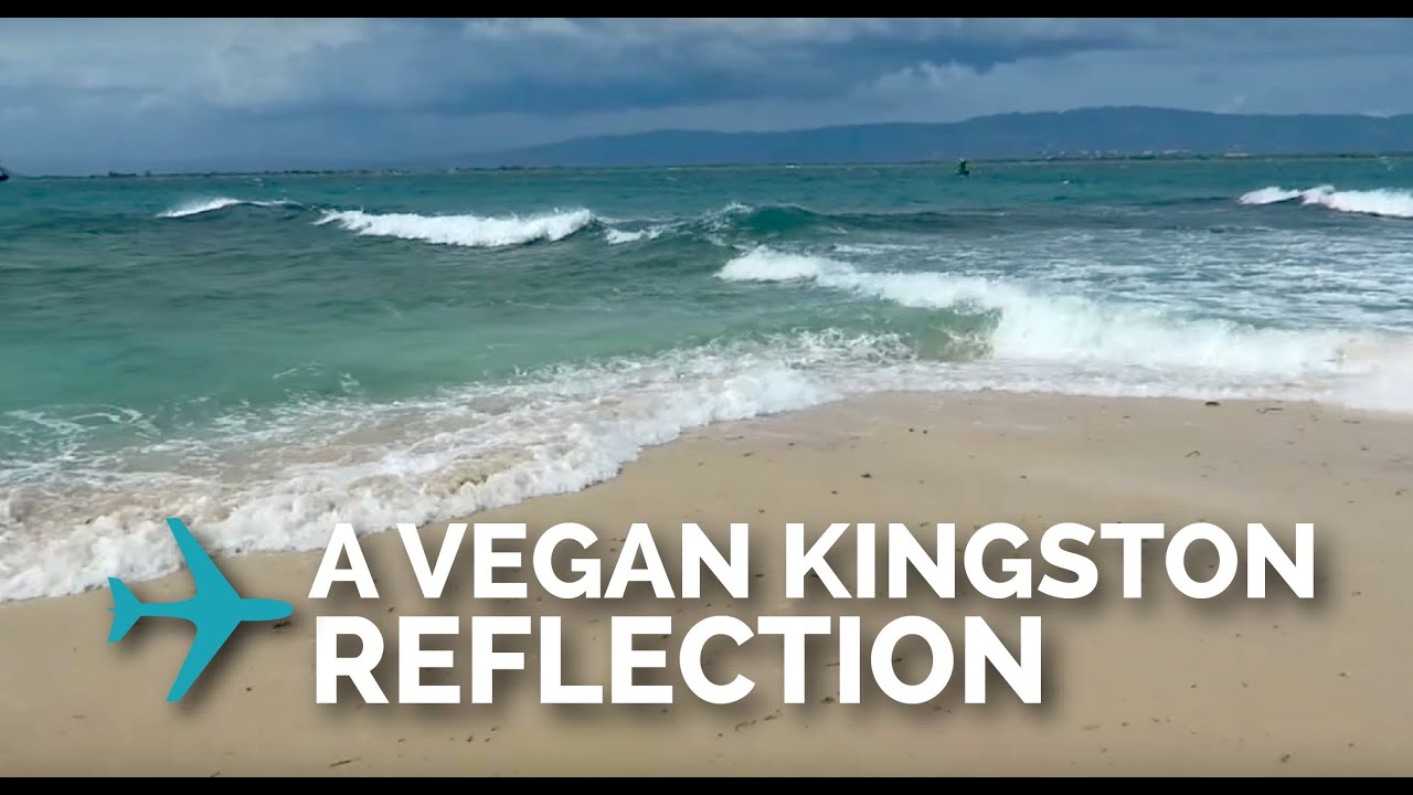 Vegan Food in Kingston, Jamaica YouTube