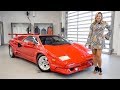 An Overview of the Legendary 1989 Lamborghini Countach 25th Anniversary + START&REV!!!