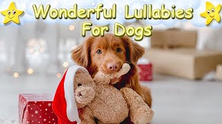 Christmas Dog Music For Sweet Dreams 🐶🎄🎅🏼 Calm Your Dog Or Puppy Effectively