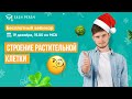 Строение растительной клетки | Илья Кац | Онлайн-школа EASY PEASY | ОГЭ биология