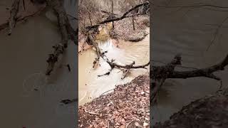 Romantic getaway for couples. Redbud Cabin at River Of Love Cabins in Thackerville