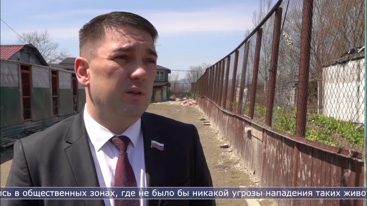 решала 2023 г