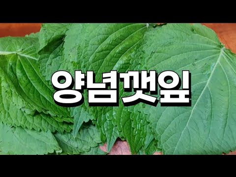 💯 👏 👏 👏 깻잎을 간단한 양념으로 만들어보았어요~ #양념깻잎