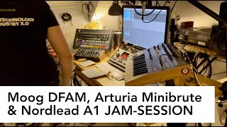 Inner Sanctuary: Moog DFAM, Arturia Minibrute & Nordlead Jam-session