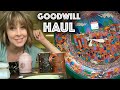 HUGE Goodwill Haul for Resale! Spent $130 | What Can I Sell it For on eBay? | Reselling