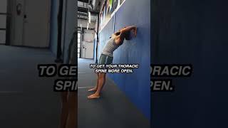 Thoracic Bridge