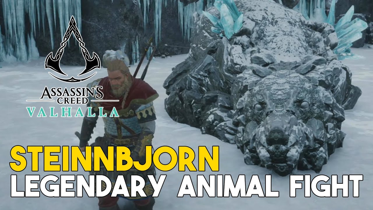 Assassins Creed Steinnbjorn Legendary Animal Fight
