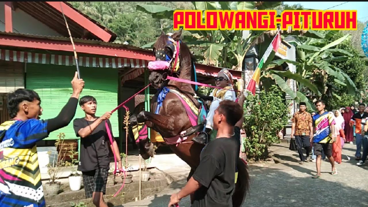 TERBARU#ARAK-ARAKAN#POLOWANGI#PITURUH#21 SEPTEMBER 2025