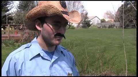 The WTF Files - Case #1