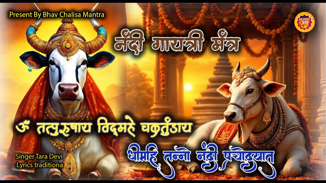 Om Tatpurushaya Vidmahe Chakratundaya Dhimahi Tanno Nandi  Prachodayat | नंदी गायत्री मंत्र | 2025 |
