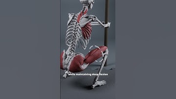 Deep Squat Hip Rotation