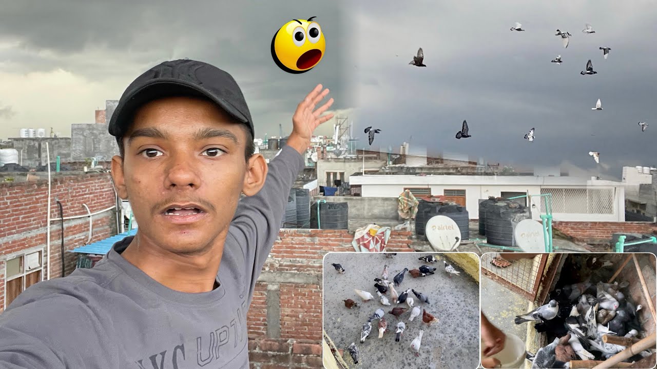 Aj Gole Kabutro Ko Tawe Laga Diye 🤩❤️|| ye kiya hogya 😱