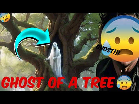Horror Story of A Tree 😨🌳