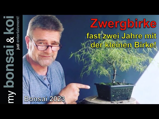 kasten bambus Bambus-Pflanzgefäß 120 x 120 x 85 cm — Planten247.nl main image 0