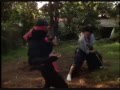 Revenge of The Ninja: Sho Kosugi vs Ninjas