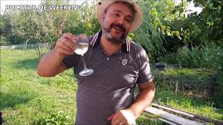 Iepure La Tuci Bucatar De Weekend M.t.