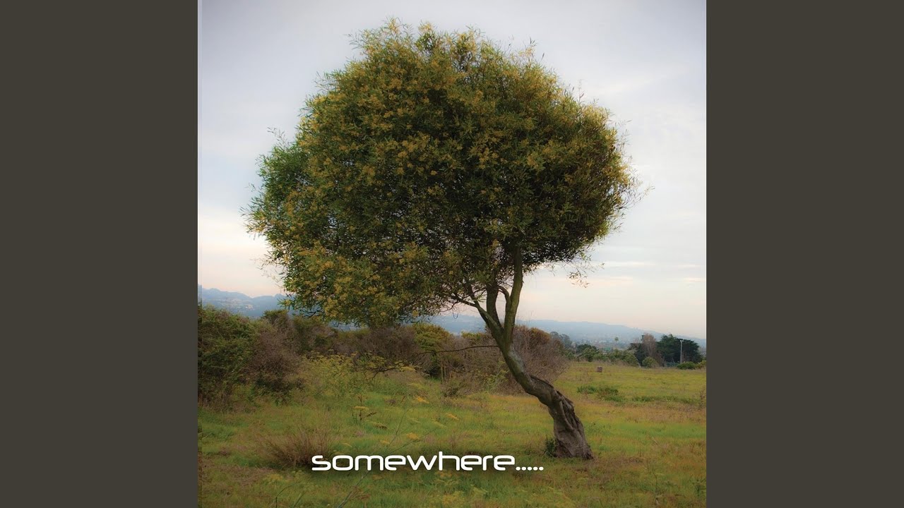 The Tears of My Soul