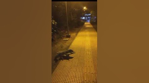 A video I found in my camera roll in 2014