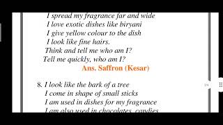Spicy riddles class 4 EVs chapter 25 worksheets ncert cbse