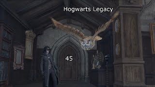 Hogwarts Legacy 45 ~ First Play Through ~ No Commentary