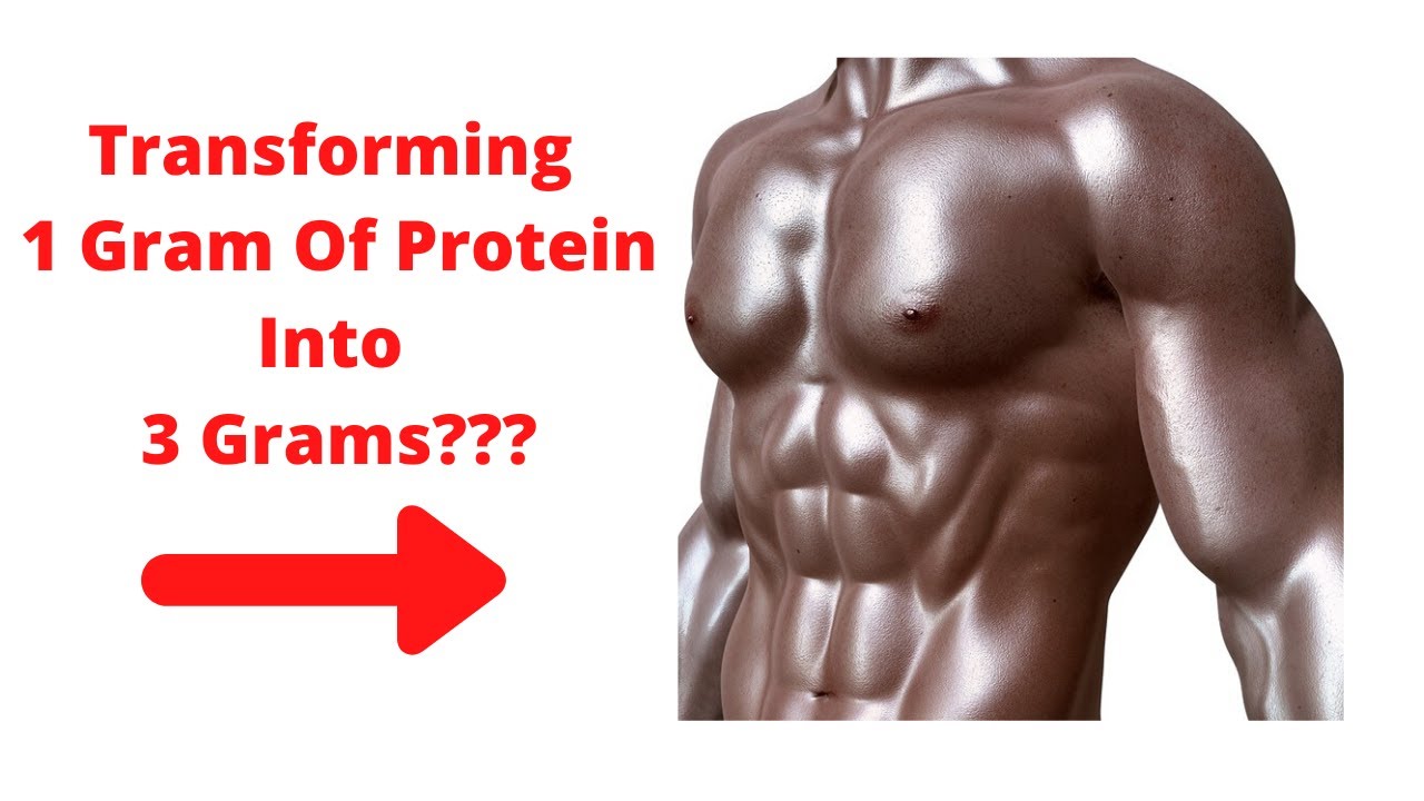 Masszymes Review The Strongest Protein Digesting Enzyme For Accelerated