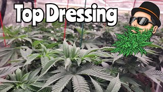 GROW GARAGE - Top Dressing Before FLOWERING - w/MARSHYDRO