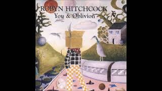 Watch Robyn Hitchcock Polly On The Shore video