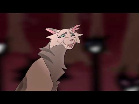 DEMOREEL???/ wadda hell?