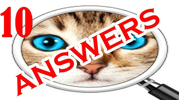 Guess the Pic! 2 ~ Photo Quiz Level 10 - All Answers - Walkthrough