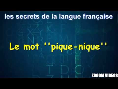 Vidéo: De quelle langue vient le pique-nique ?