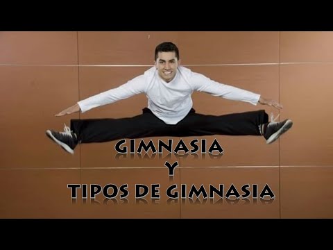 Video: Cuales Son Los Tipos De Gimnasia