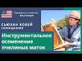 Инструментальное осеменение маток со Сьюзан Кобей (США)