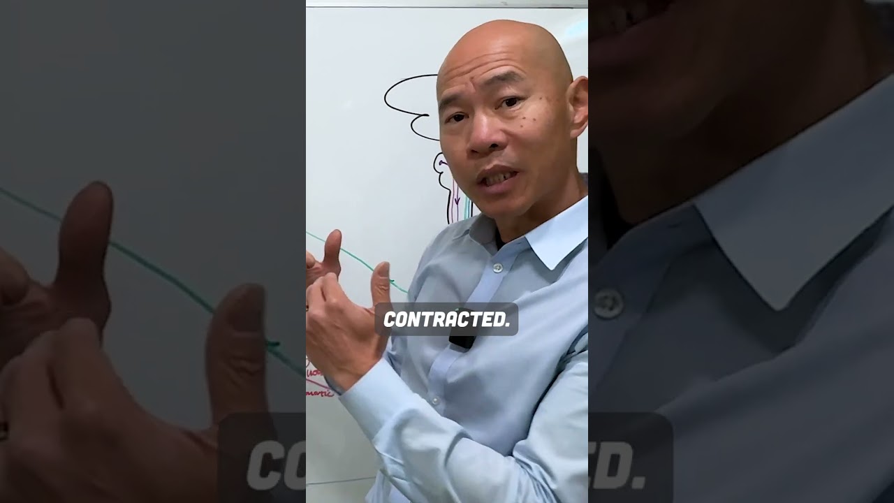 Объяснение процесса мочеиспускания: мышцы и сфинктеры мочевого пузыря в действии