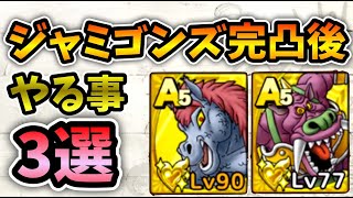 【ドラクエタクト】ジャミ＆ゴンズ完凸後にやるべき3つのこと【無課金攻略】