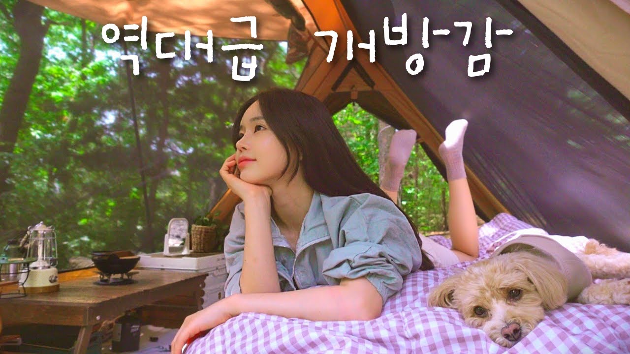 Одиночный лагерь в открытой палатке | Сваренная свинина, острые лапши и стакан макгеолли