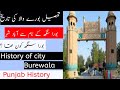 History of tehsil burewala       who was bora singh  history of punjab 