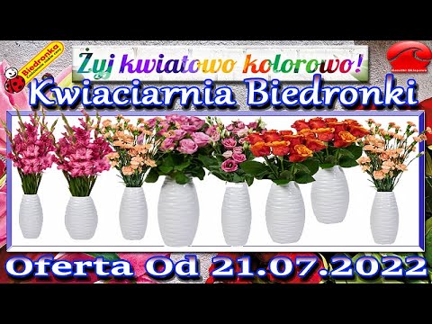 Biedronka | Kwiatowe Inspiracje Biedronki Nowa Oferta Od Czwartku 21.07.2022 | Kwiaciarnia Biedronki