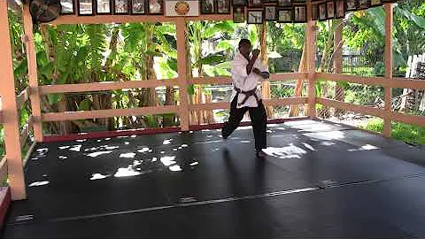 Kaido - Kan Martial Arts Tsuki No Kata  by Shihan ...