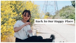 Download Lagu Terug op onze gelukkige plek! | WahlieTV EP MP3