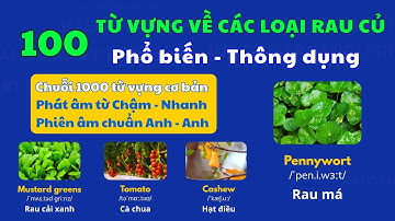 Từ Vựng Tiếng Anh Về Các Loại Rau Củ |1000 Từ Vựng Theo Chủ Đề